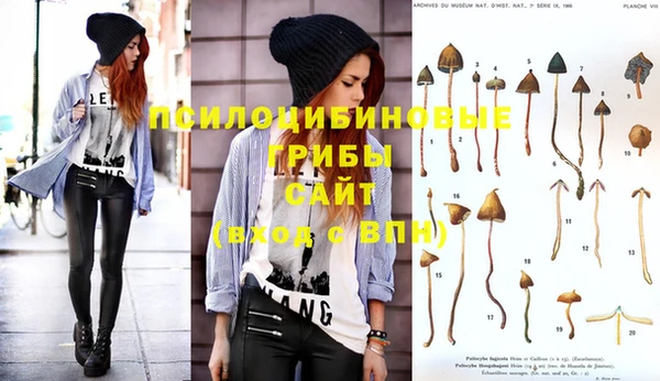 бошки Абдулино