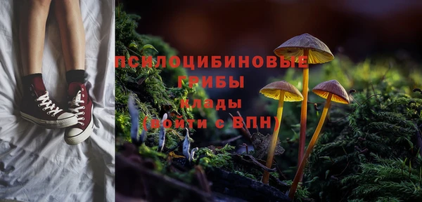 бошки Абдулино