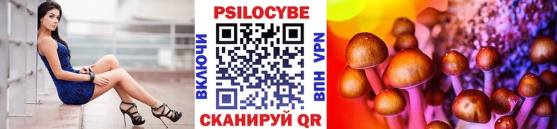 Псилоцибиновые грибы Psilocybe  кракен рабочий сайт  Черногорск 